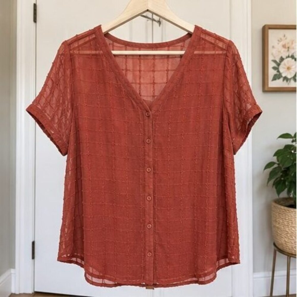 Rust Puff Sleeve Top